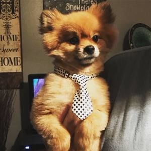 Meet your Posher, Ericka